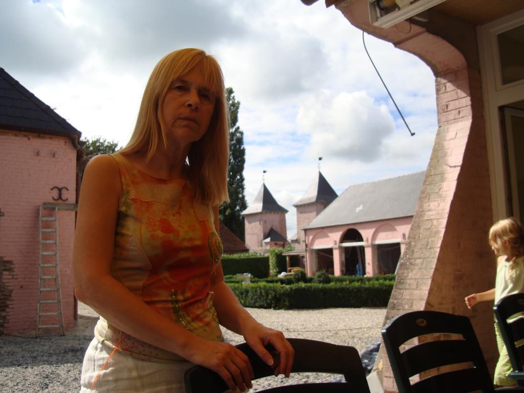 B&B Chateau Bagatelle Frasnes-lez-Anvaing Exteriör bild