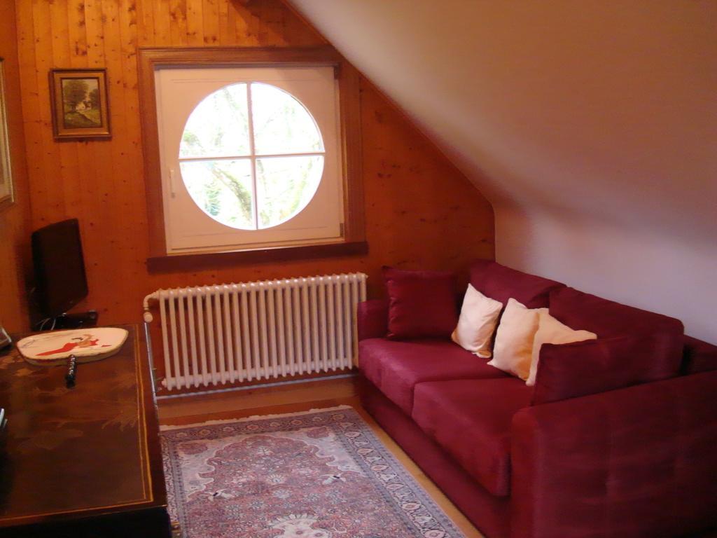 B&B Chateau Bagatelle Frasnes-lez-Anvaing Rum bild