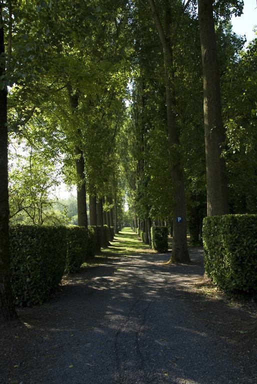 B&B Chateau Bagatelle Frasnes-lez-Anvaing Exteriör bild