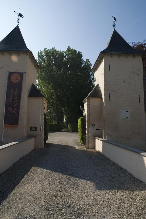 B&B Chateau Bagatelle Frasnes-lez-Anvaing Exteriör bild