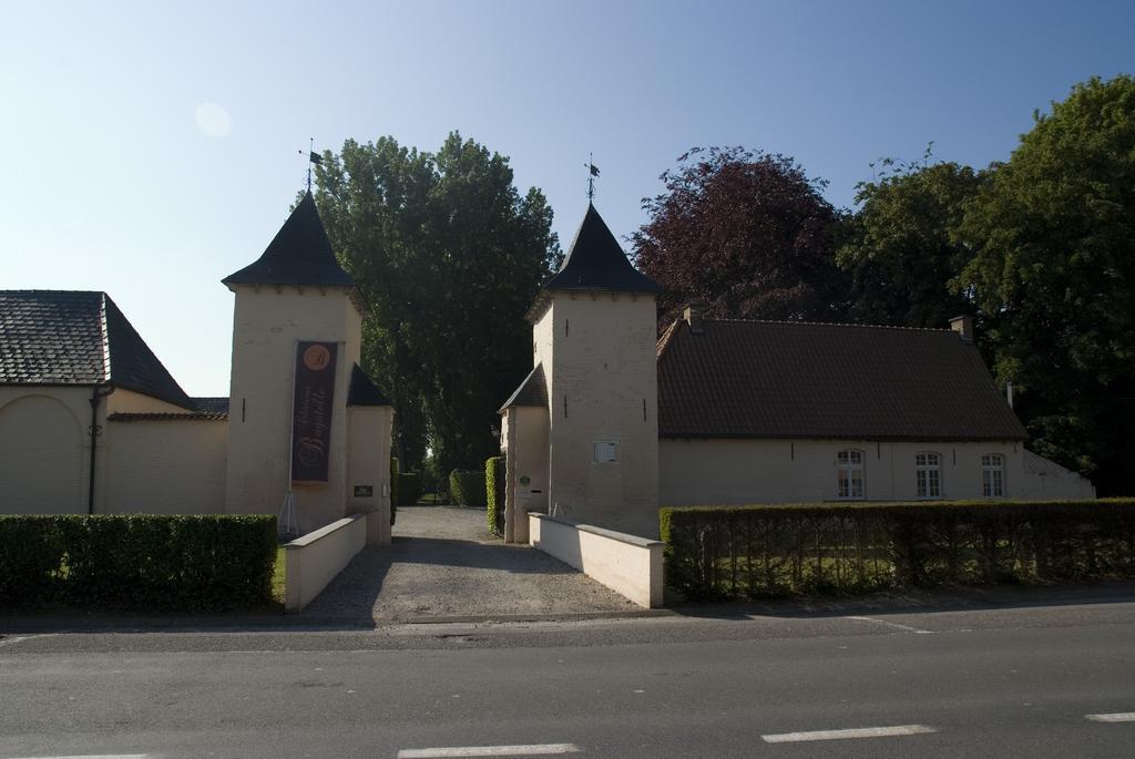 B&B Chateau Bagatelle Frasnes-lez-Anvaing Exteriör bild
