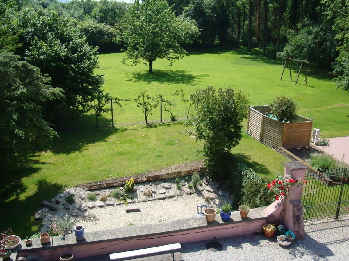 B&B Chateau Bagatelle Frasnes-lez-Anvaing Exteriör bild
